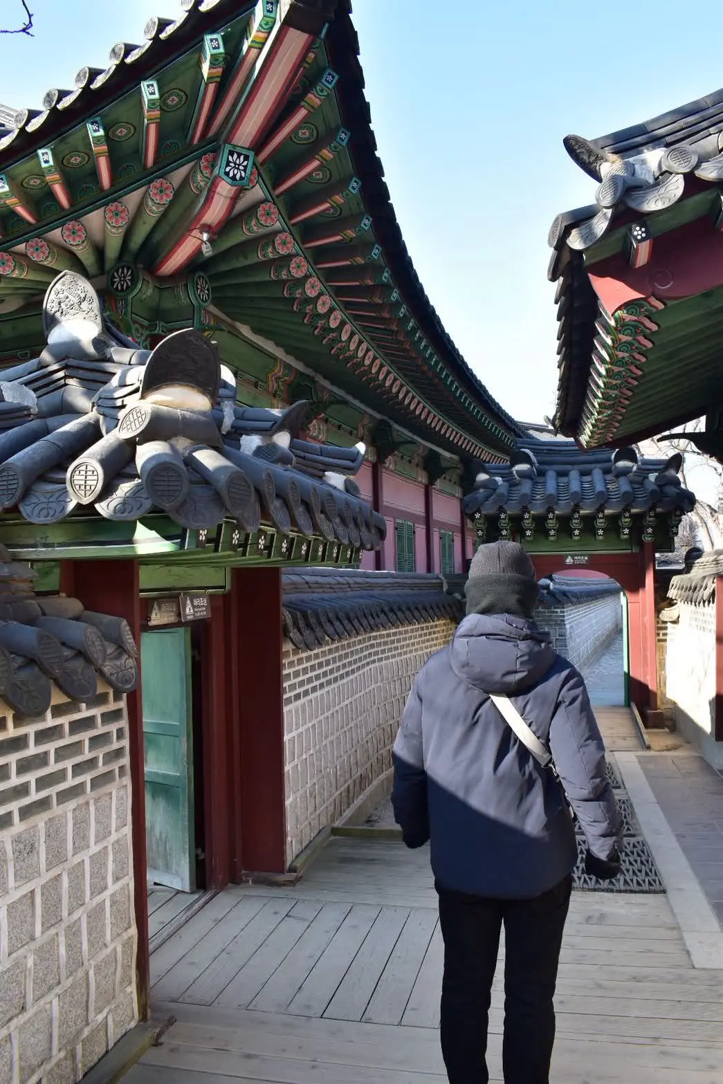 昌徳宮のもとき